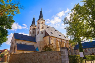 Nordhausen Kutsal Haç Katedrali Thuringia Almanya