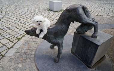Quedlinburg köpek Quedel heykeli gerçek köpek yavrusu Almanya onun Merkez over