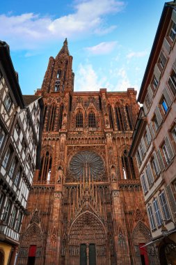 Strasbourg Alsace Fransa 'daki Notre Dame Katedrali