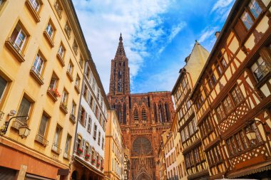 Strasbourg Alsace Fransa 'daki Notre Dame Katedrali