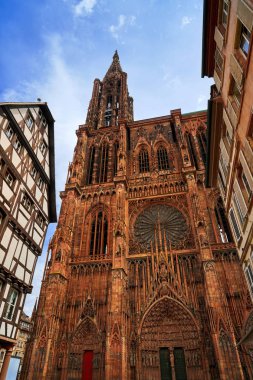 Strasbourg Alsace Fransa 'daki Notre Dame Katedrali