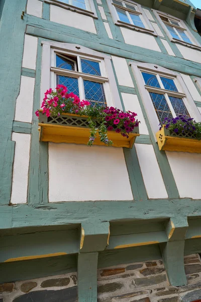 Stolberg Flowers Harz Mountains Germany — Stock Photo, Image