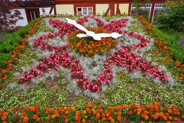 Wernigerode Kwiat Ogród Zegar Harz Niemcy Saksonia Anhalt — Zdjęcie stockowe