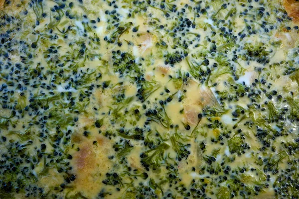 Broccoli Quiche French Recipe Homemade Texture Detail — Stock Photo, Image