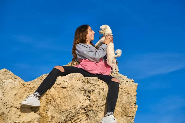 青い空の下の岩の上 Maltichon 子犬犬と遊ぶ少女 — ストック写真