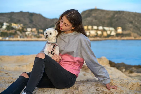 Ragazza Che Gioca Con Cane Cucciolo Maltichon Spiaggia — Foto Stock