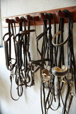 Bir satır şapkalar atları tack bridles beyaz duvar yular