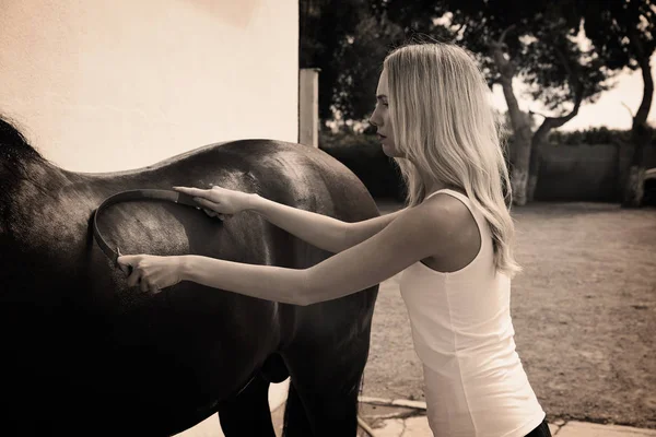 Menina Loira Limpando Cavalo Marrom Com Suor Raspador Ferramenta Parede — Fotografia de Stock