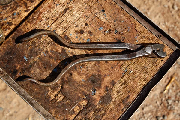 Πέταλα Αλόγου Εργαλεία Ένα Τραπέζι Από Ξύλο Grunge — Φωτογραφία Αρχείου