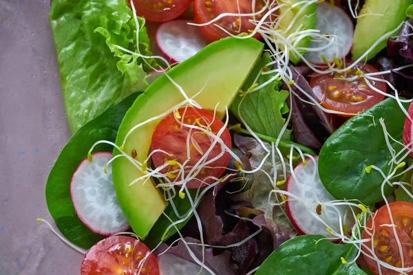 Ensalada Aguacate Con Brotes Tomates Espinacas Rábano Comida Saludable —  Fotos de Stock