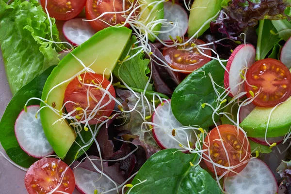 Ensalada Aguacate Con Brotes Tomates Espinacas Rábano Comida Saludable — Foto de Stock