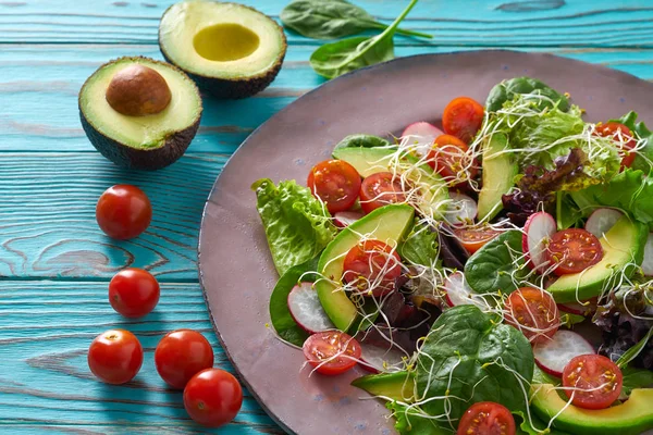 Ensalada Aguacate Con Brotes Tomates Espinacas Rábano Comida Saludable — Foto de Stock