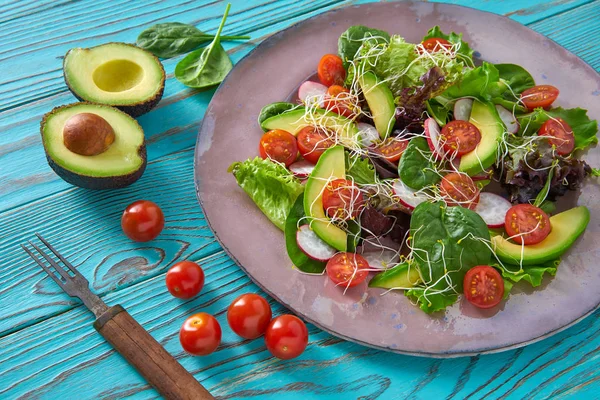 Ensalada Aguacate Con Brotes Tomates Espinacas Rábano Comida Saludable — Foto de Stock