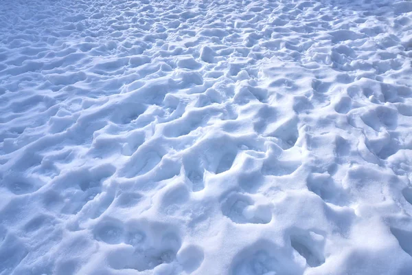 雪的脚印纹理在比利牛斯山脉脚印 — 图库照片