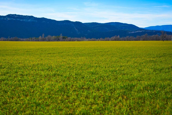 Cerler Sky Område Pyrenéerna Huesca Spanien — Stockfoto