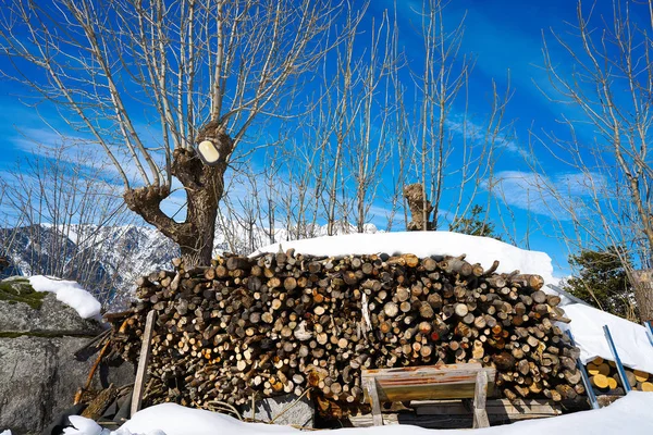 Lenha Empilhada Sob Neve Nos Pirenéus Huesca Espanha — Fotografia de Stock