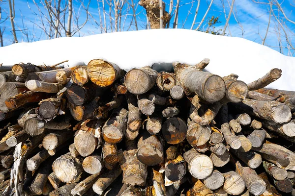 Bois Chauffage Empilé Sous Neige Dans Les Pyrénées Huesca Espagne — Photo