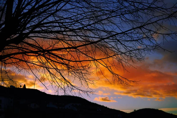 하늘에 오렌지 구름과 실루엣 — 스톡 사진