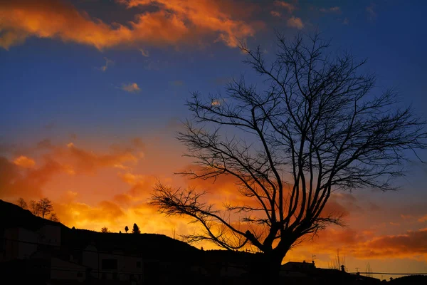 Silueta Árbol Atardecer Con Nubes Naranjas Cielo Azul — Foto de Stock