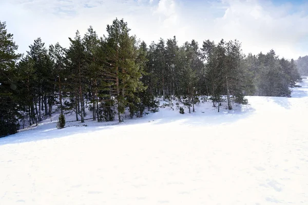 Zona Esquí Nieve Valdelinares Teruel España — Foto de Stock