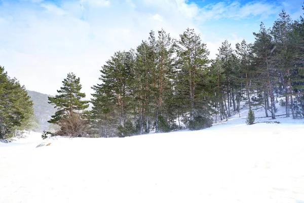 Zona Esquí Nieve Valdelinares Teruel España — Foto de Stock