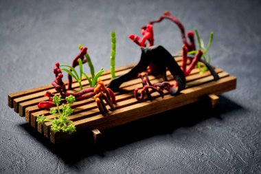 Codium yosun salata modern mutfağı ile renkli alg ve deniz rezene