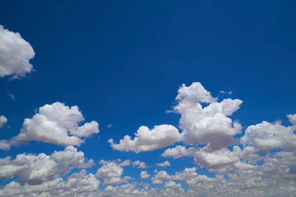 Blå Himmel Med Sommaren Cumulusmoln — Stockfoto