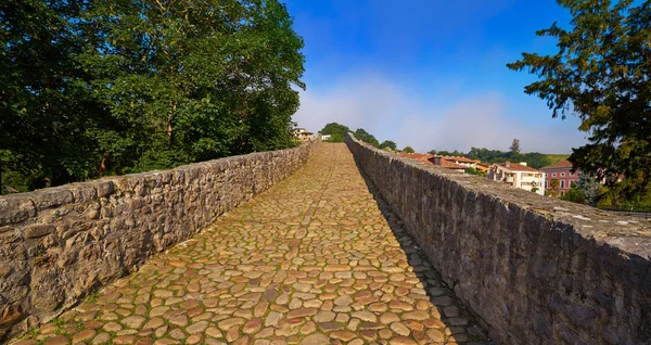 Pont Romain Cangas Onis Sur Fleuve Sella Dans Les Asturies — Photo