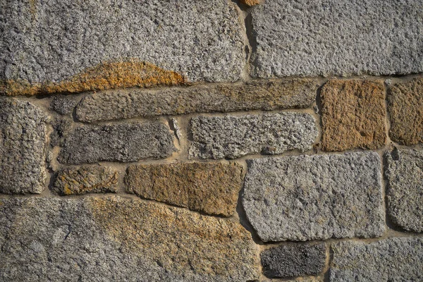 Arbusto Pedra Granito Muralha Alvenaria Martelada Galiza Espanha — Fotografia de Stock