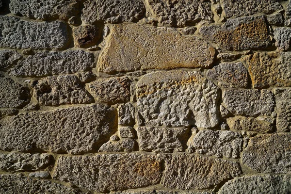 Arbusto Pedra Granito Muralha Alvenaria Martelada Galiza Espanha — Fotografia de Stock
