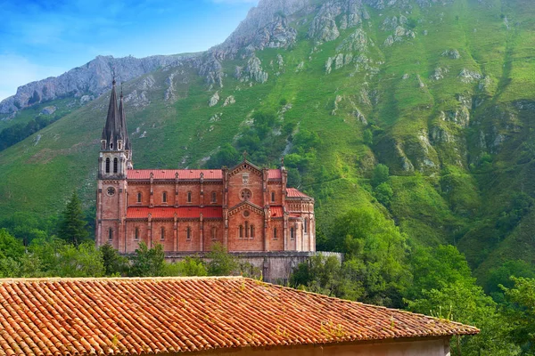 Covadonga Katolske Helligdom Basilika Kirke Asturias Cangas Onis – stockfoto
