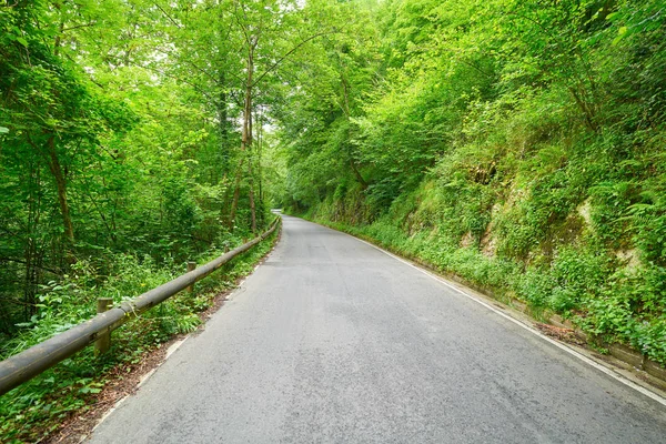 Covadonga Straßenwald Asturien Picos Europa Berge Spanien — Stockfoto