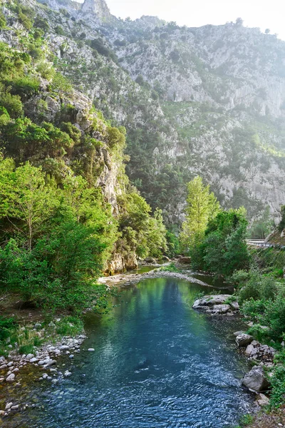 Deva Řeka Mezi Horami Španělské Kantábrii — Stock fotografie