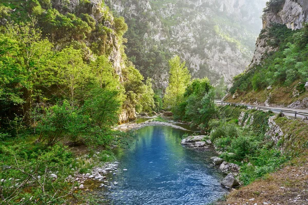 Deva Fluss Zwischen Bergen Kantabrien Spanien — Stockfoto