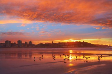 San Lorenzo beach Asturias İspanya'nın Gijon manzarası gün batımı