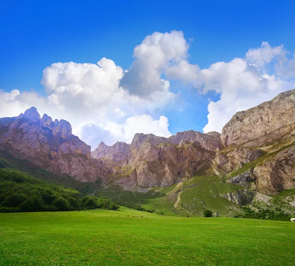 Fuente Bergen Camaleno Cantabria Van Spanje — Stockfoto