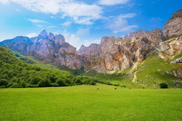 Fuente Góry Camaleno Cantabria Hiszpania — Zdjęcie stockowe