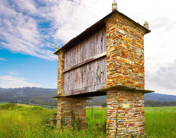 Galicia Horreo Traditionelles Landwirtschaftliches Haus Spanien — Stockfoto
