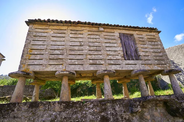 Horreo Sardineiro Perto Finisterre Galiza Espanha — Fotografia de Stock