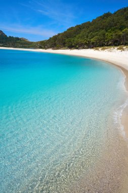 Praia de Rodas beach Islas CIES Island Vigo, İspanya