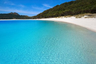 Praia de Rodas beach Islas CIES Island Vigo, İspanya