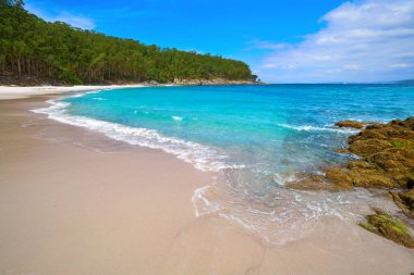 Figueiras Çıplaklar Plajı Islas CIES Adası Vigo İspanya içinde