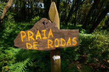 Praia de Rodas oturum açma Islas Vigo, İspanya CIES ada plaj