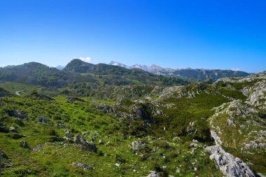 Picos de Europa dağların İspanya Asturias