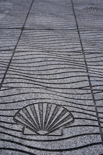 Floor Sea Shell Sign Toja Isola Pontevedra Galicia Spagna — Foto Stock