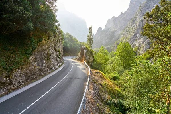 621 Weg Buurt Van Deva Rivier Cantabrië Van Spanje — Stockfoto