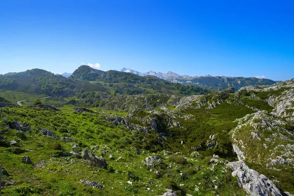 Góry Picos Europa Asturii Hiszpania — Zdjęcie stockowe