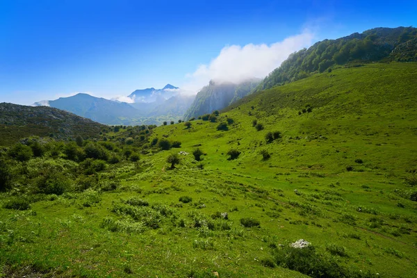Góry Picos Europa Asturii Hiszpania — Zdjęcie stockowe