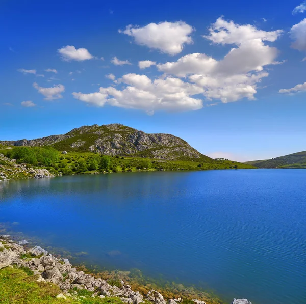 Lago Enol Picos Europa Nas Astúrias Espanha — Fotografia de Stock