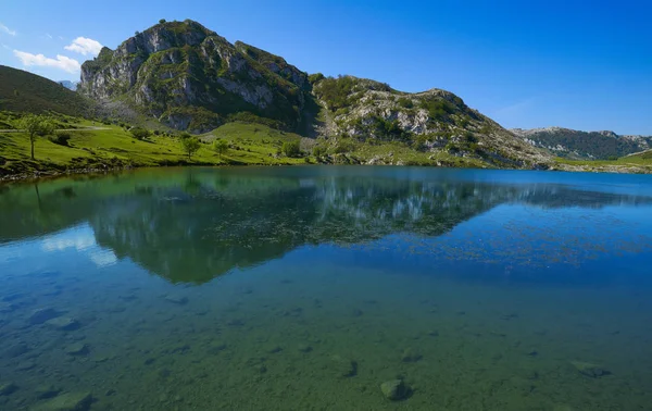 Enol Lake Picos Europa Asturias Spain — Stock Photo, Image